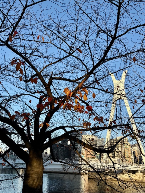 朝の気まぐれウォーキング