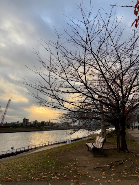 気まぐれウォーキング