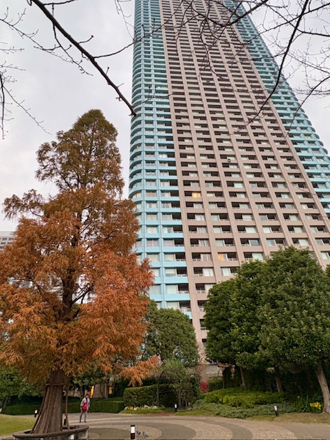 朝の気まぐれウォーキング