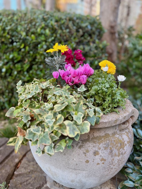 寒〜い朝の気まぐれウォーキング