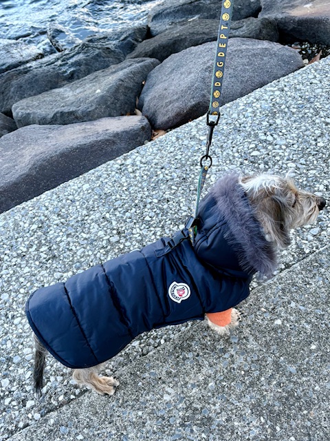 まーちゃんかっこいいダウン