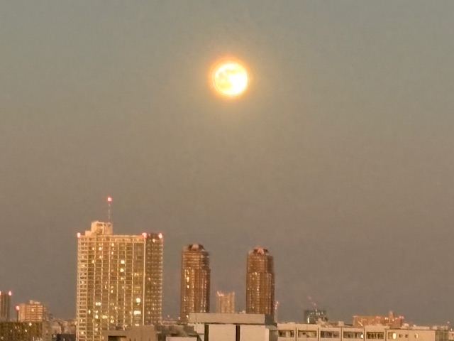 綺麗なお月さま