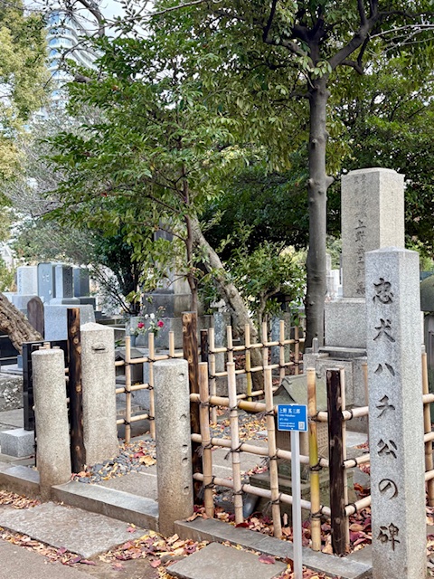 穏やかな天気の今日はお墓参り日和
