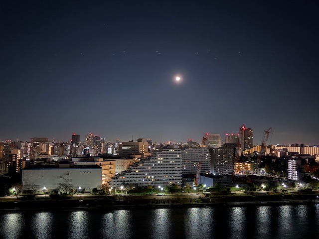 夜空に浮かぶ半分の月が神秘
