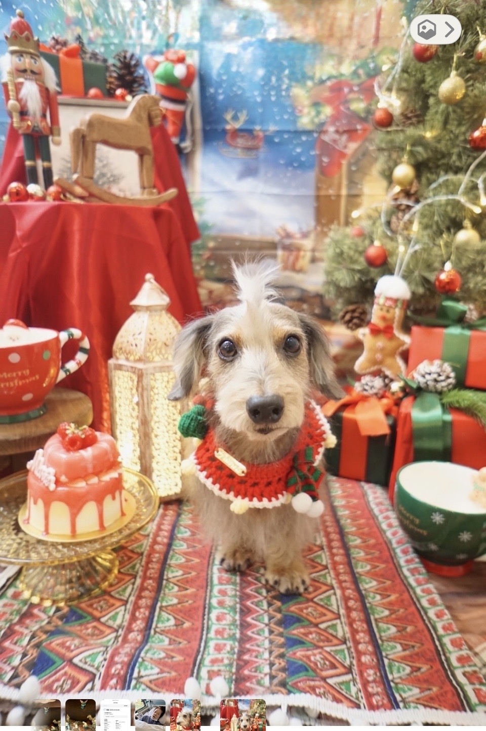 まーちゃんからMerry Xmas