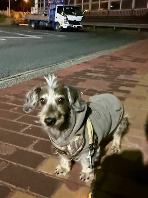 家族代表妹とまーちゃんは寒川様へお参りに