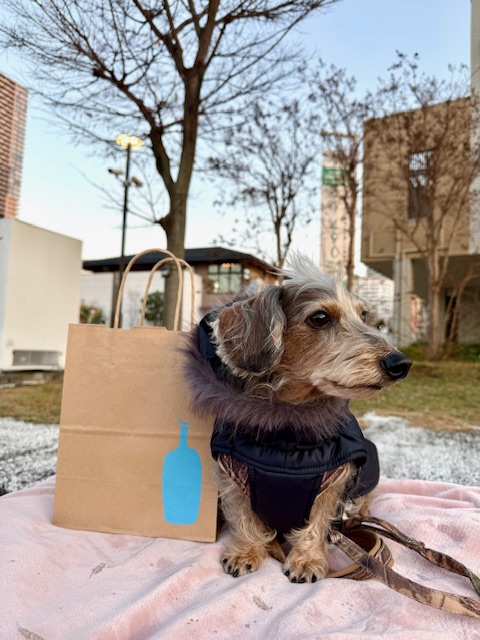 まーちゃんコーヒー買いにららぽーとへ