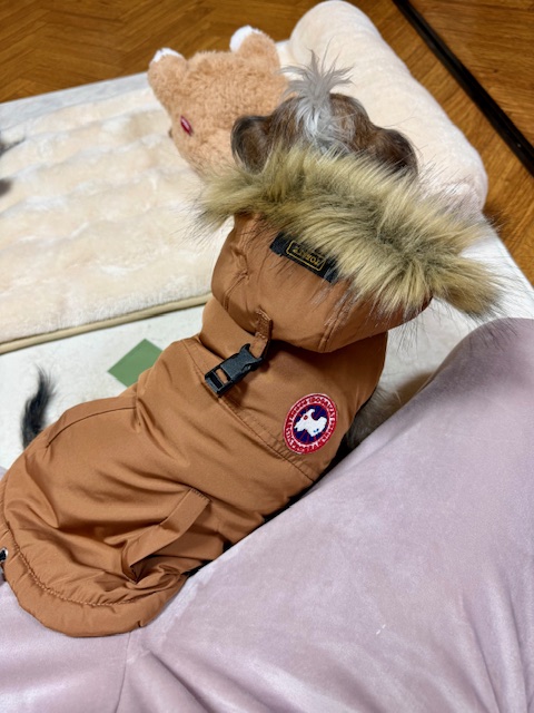 まーちゃんのプレゼントはダウン