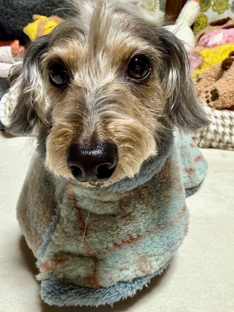 お風呂上がりはケープ