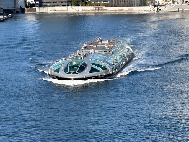 新春第一弾気まぐれウォーキングは母の見舞いがてら聖路加へ