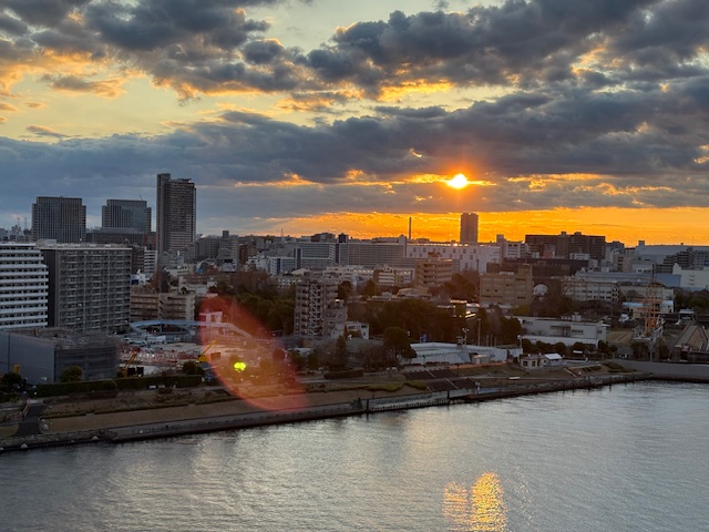 元気な朝陽「冷静さ」