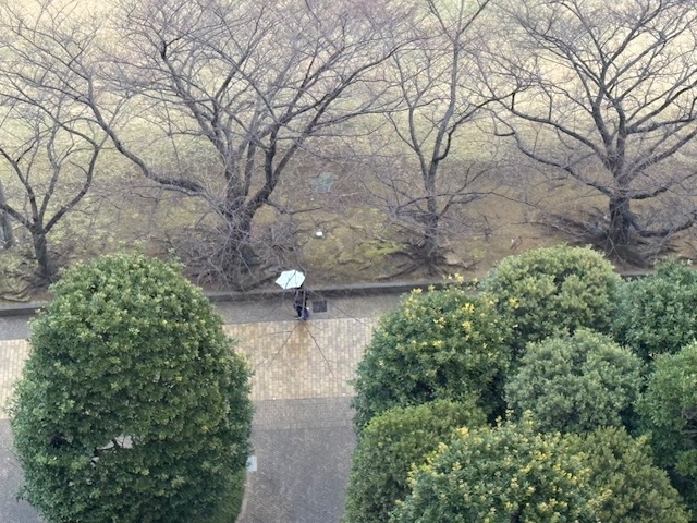 小雨の寒い朝「好きだから」