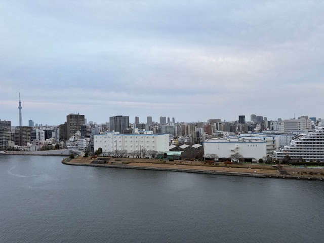 淡い色合いの「やるかやらないのか」