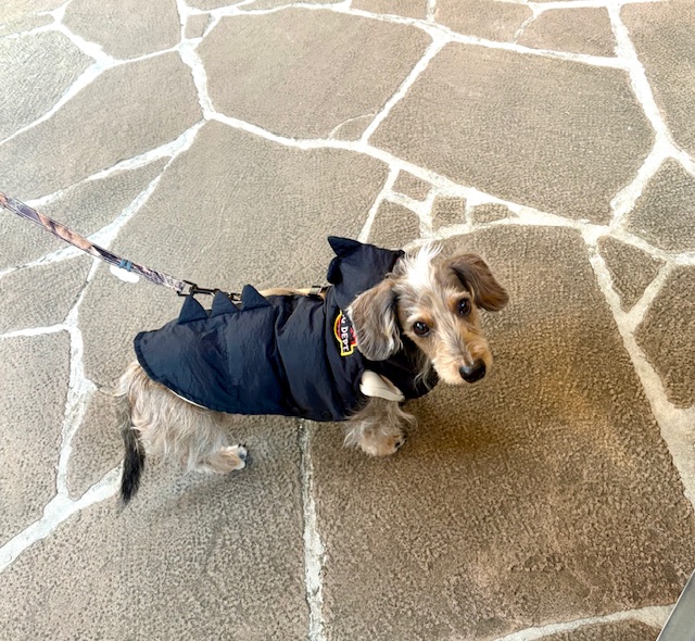 退院した母との面会へ妹と