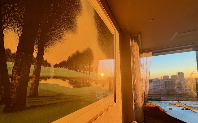 部屋中、朝陽がいっぱい