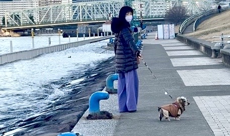 最近まーちゃん歩くのがとても早いんです