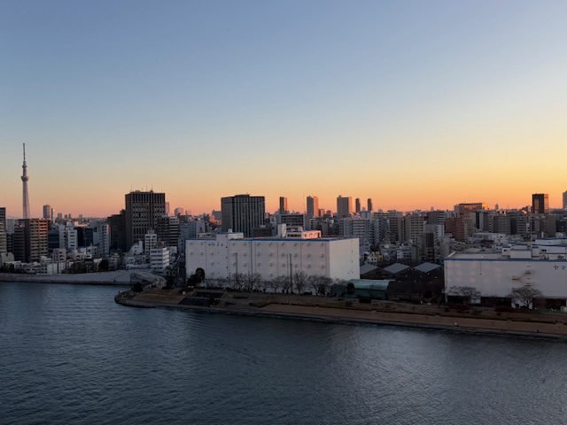 今日も快晴・眩い朝陽「賢さ」