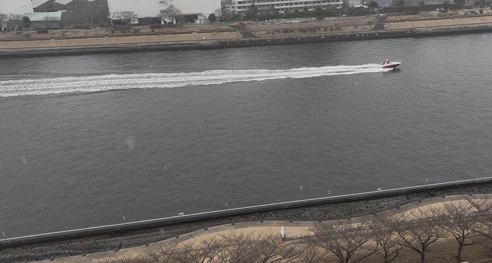 寒い寒いと思ったら粉雪が