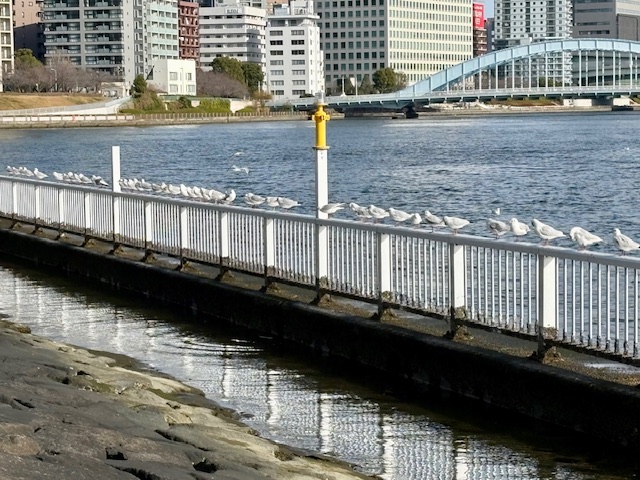 3月になり気まぐれウォーキング再開