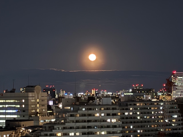 今夜も綺麗なお月様