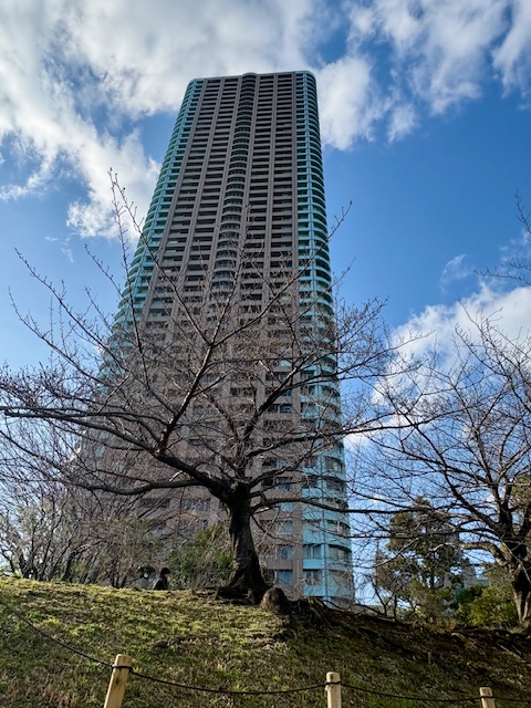雨上がりの清々しい気まぐれウォーキング