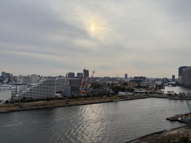 冷たい曇り空「誰を残しますか？」