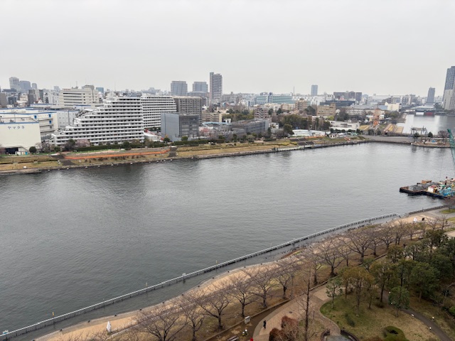 曇り空の夜明け「広い視点」
