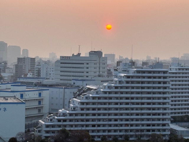お花見日和「頑張りすぎない」