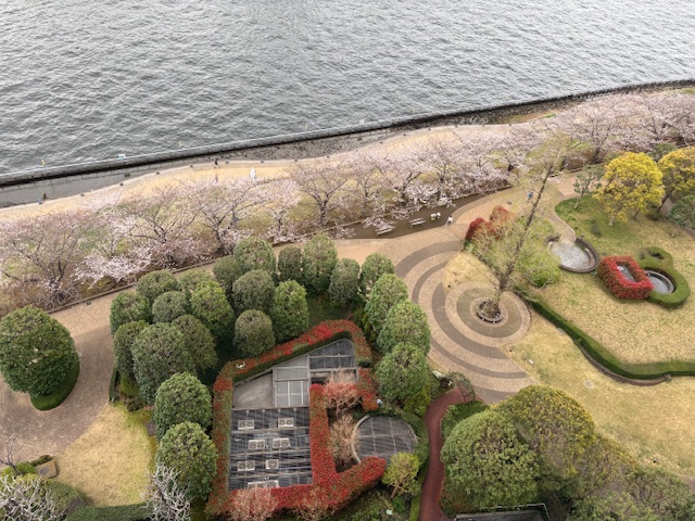 花雲りの朝「自分の間違い」