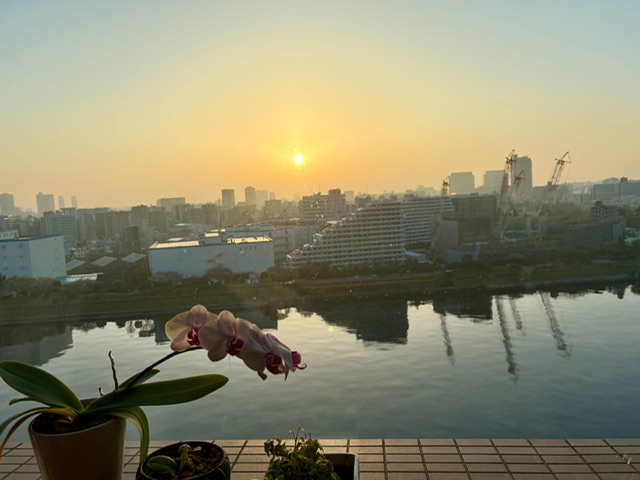 静かながらパワフルな夜明け「まず言ってみよう」
