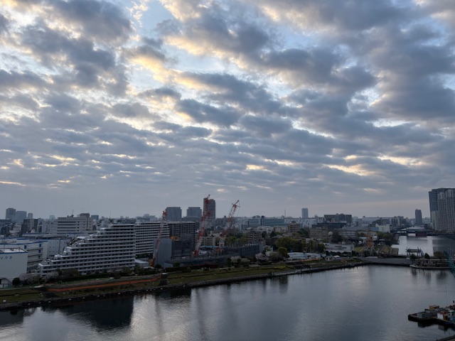 ベランダに桜の花びらが「生きているだけで」