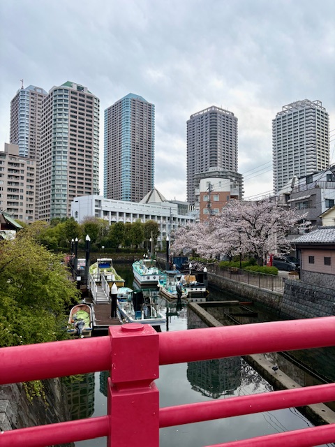 朝の気まぐれウォーキングー南東方向へ