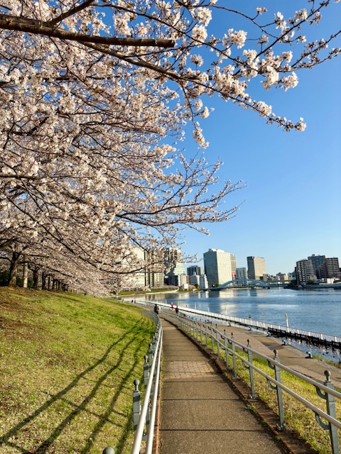 朝の気まぐれウォーキングは南へ