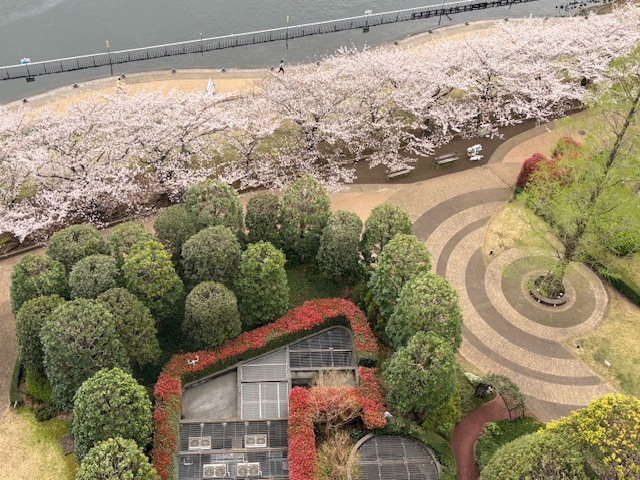 どんより曇り空「相手の土俵」