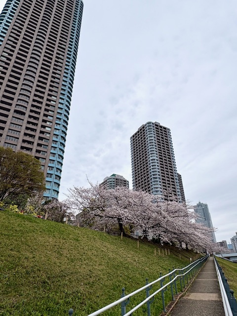 朝の気まぐれウォーキング-北西へ