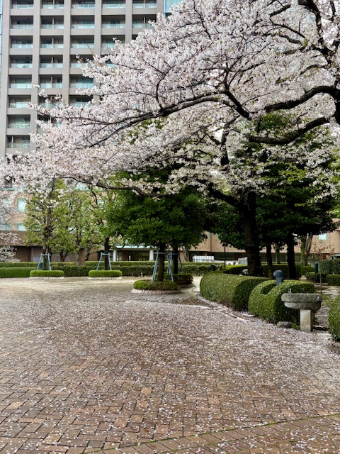 朝の気まぐれウォーキング南西へ