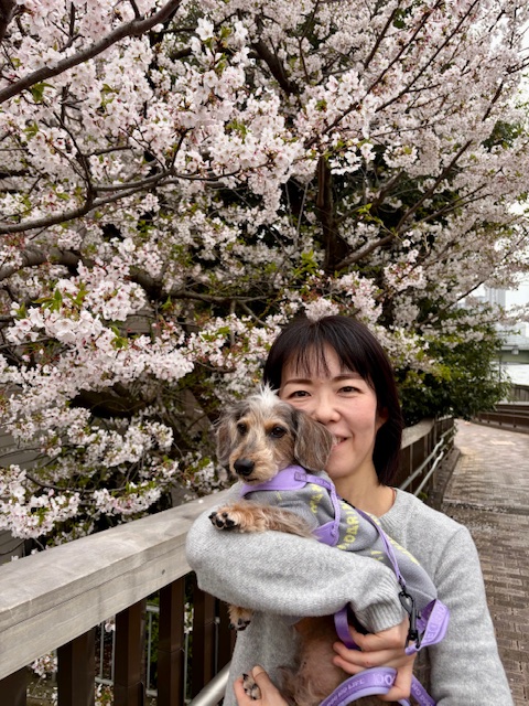 まーちゃんもお花見散歩