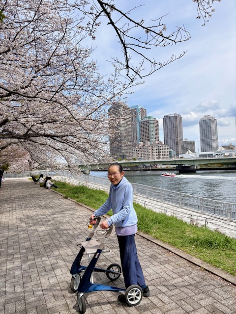 叔母のお花見通院