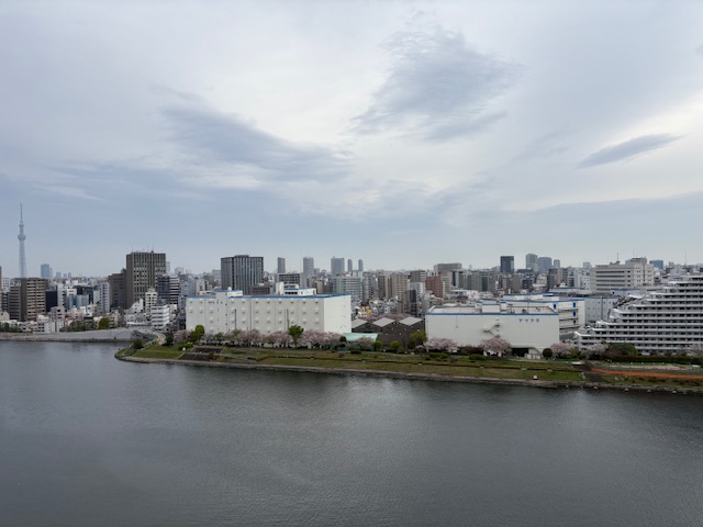 明るい曇り空「実力の差」