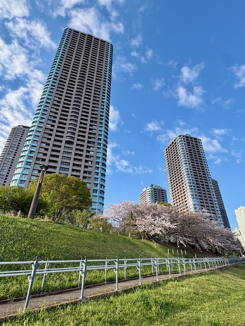 朝の気まぐれウォーキング北西へ