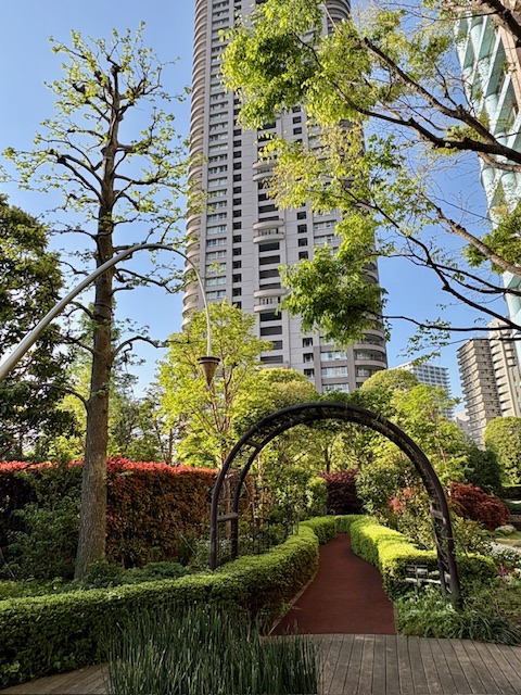 朝の気まぐれウォーキング南から南西へ