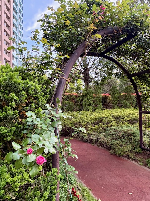 朝の気まぐれウォーキング南東から東