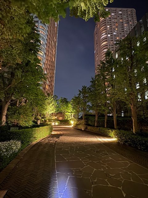 気まぐれウォーキングはライトアップ