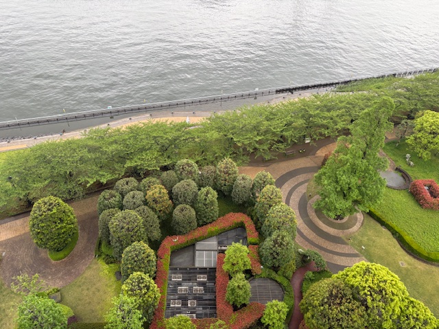 緑が濃くなってます「執着を手放す」