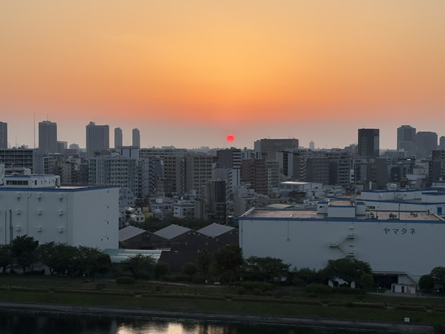 真っ赤な朝陽「今を生きる」