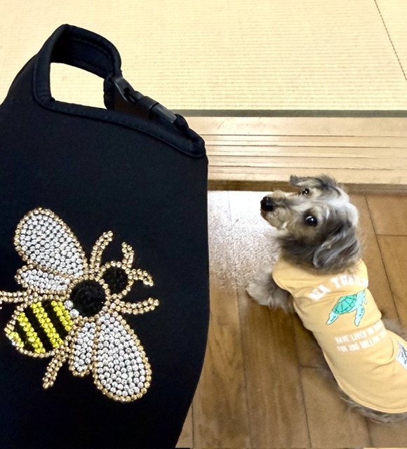まーちゃんのペットボトルホルダー