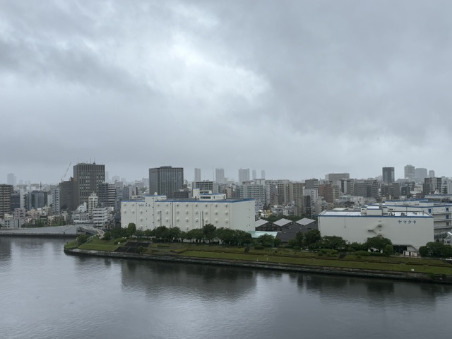 少し明るくなってきました
