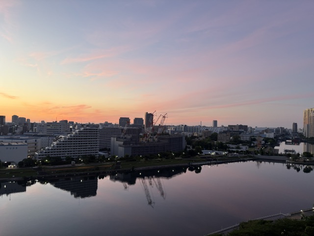 ピンクの空と鳥の目覚め「やる後悔」