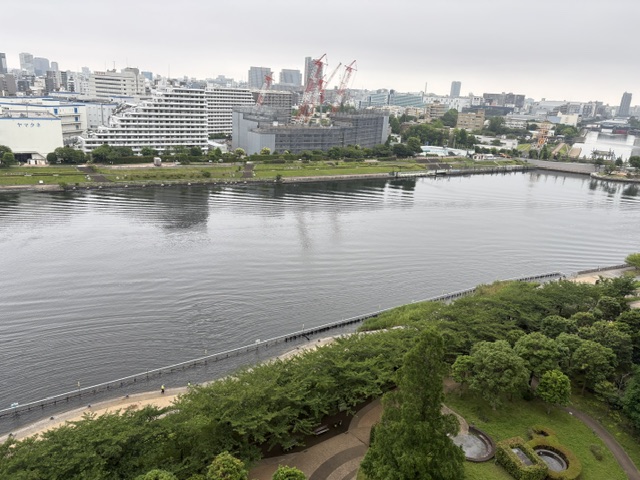 久しぶりに朝寝坊「伝える努力」