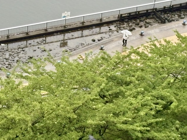 小雨の朝「上手くいったらどうしよう」